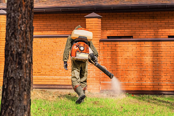 Trusted Cockroach Control service in South River, NM - Nex Pest Control